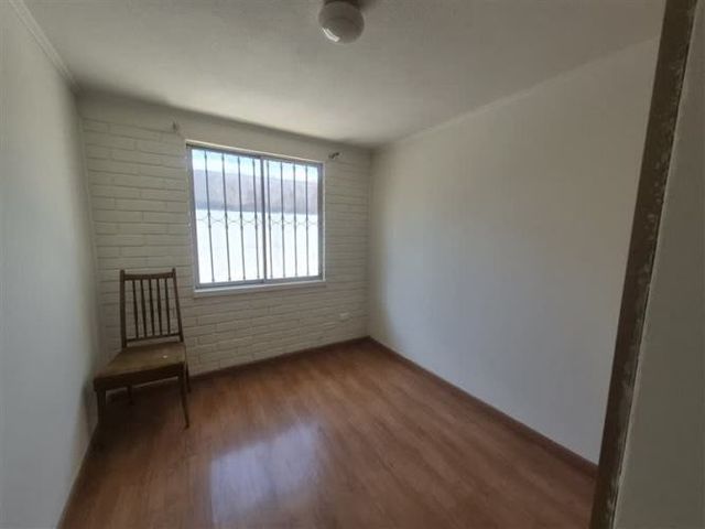 CASA Amadeus casarino