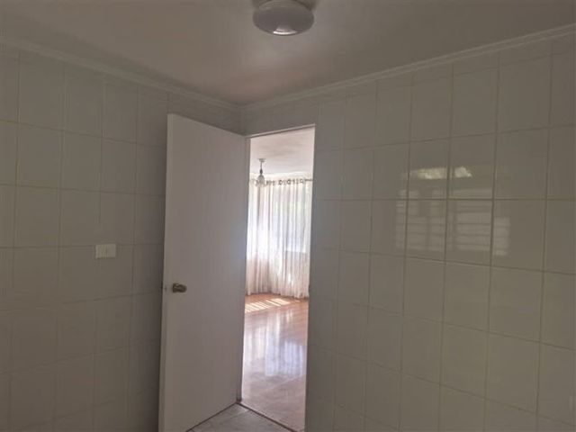 CASA Amadeus casarino