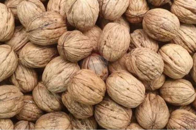 Parcela / santuario natural en chada