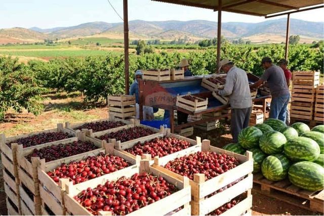 Parcela / santuario natural en chada