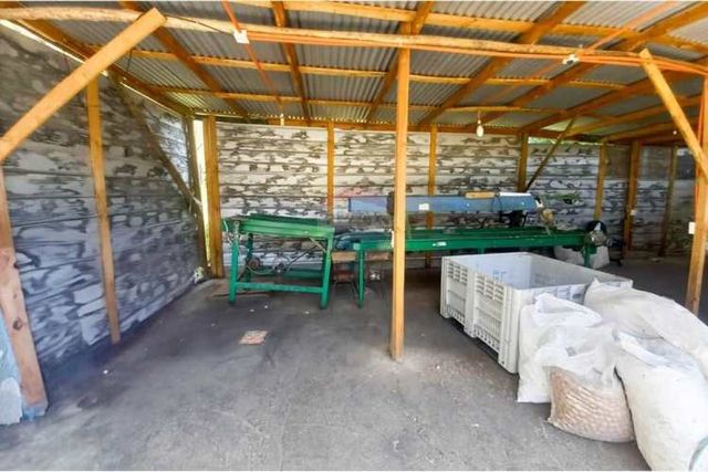 Parcela / santuario natural en chada