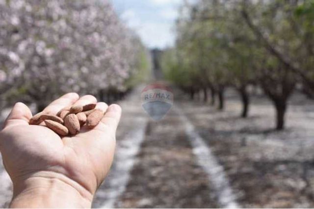 Parcela / santuario natural en chada
