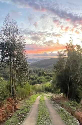 Terreno A Pasos Del Centro De Concepcion Espectacular Vista
