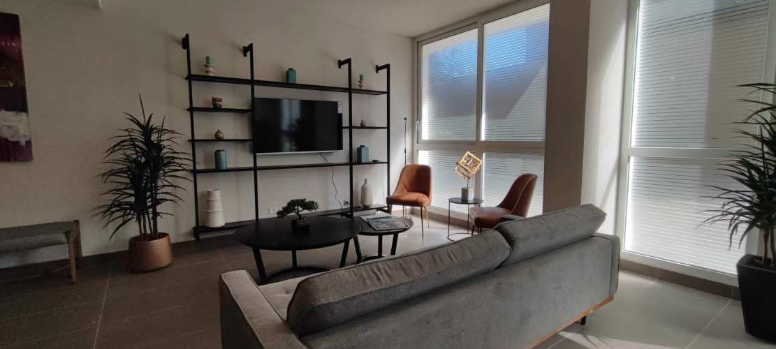 Toro Mazotte 150 [2159-3]