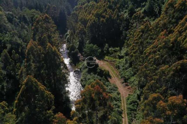 OTROS Cooperativa agrícola Santo Domingo
