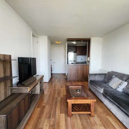 Conectividad y Estilo en Stgo. Centro (136831)