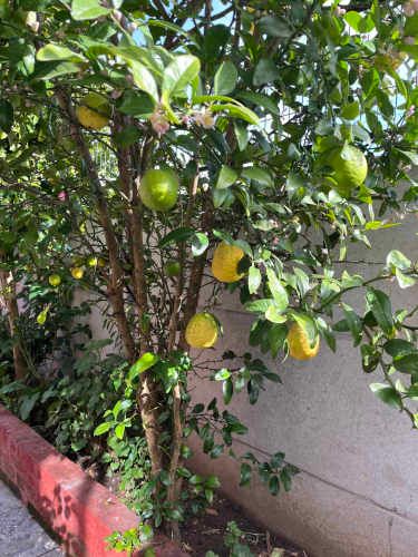 Casa en Placilla, Puerta del Sol