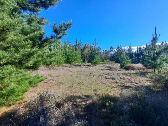 Alto Tumán parcela en venta, Puertecillo