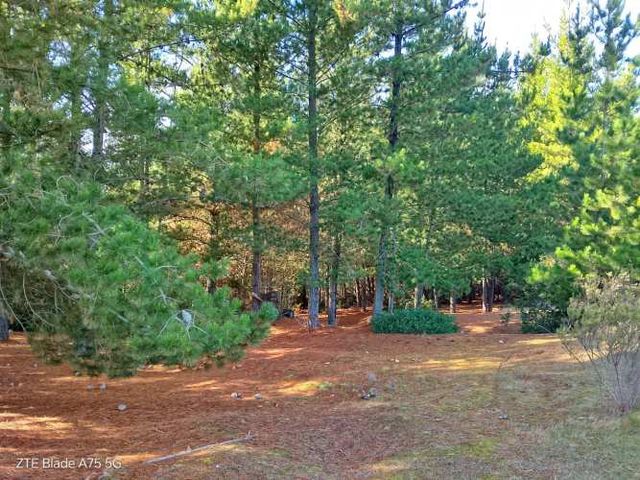 Parcela en Venta en bosque a 10 minutos de playa Puertecillo- Tucán