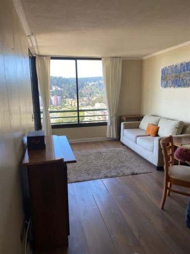 DEPARTAMENTO Anibal Pinto