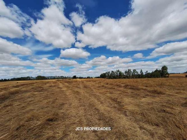 Vende Terreno indígena 20.000 m² Camino Comunidad 5 Manzanos