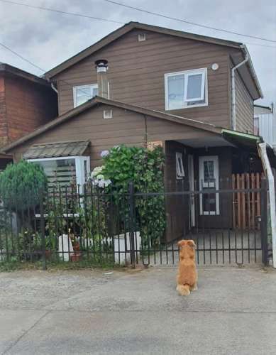 CASA Av. El Bosque - camino Mollulco