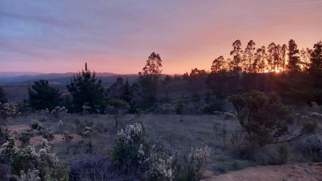TERRENO EN PAREDONES