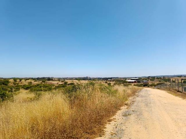 VENTA PARCELA 5000MTS EN LITUECHE