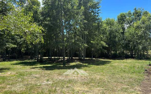 Venta sin comisión: Nuevo Proyecto Parcelas Refugio El Radal Villarrica