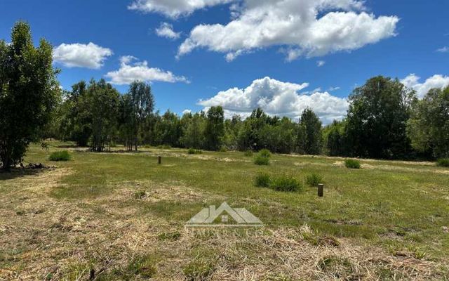 Venta sin comisión: Nuevo Proyecto Parcelas Refugio El Radal Villarrica