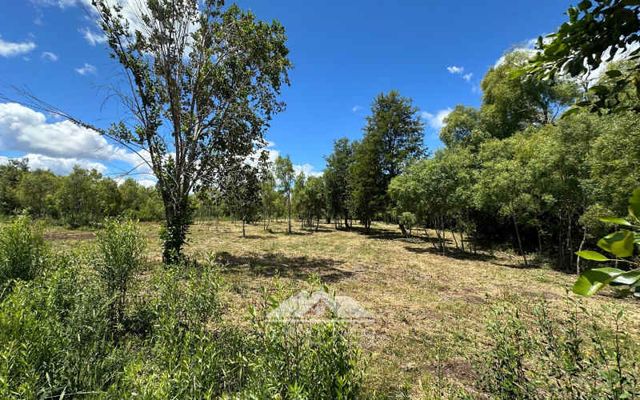 Venta sin comisión: Nuevo Proyecto Parcelas Refugio El Radal Villarrica