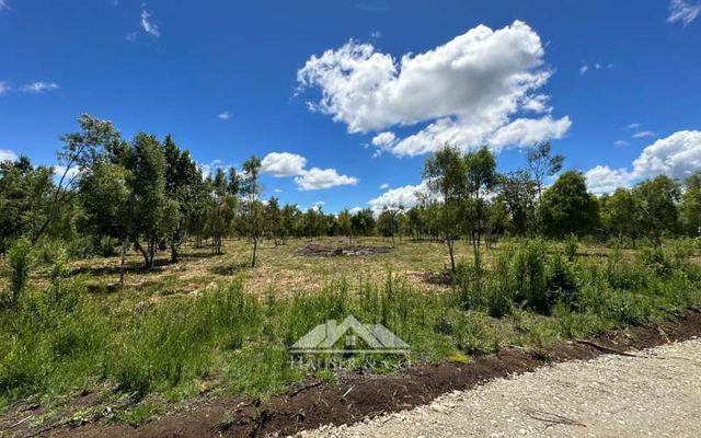 Venta sin comisión: Nuevo Proyecto Parcelas Refugio El Radal Villarrica