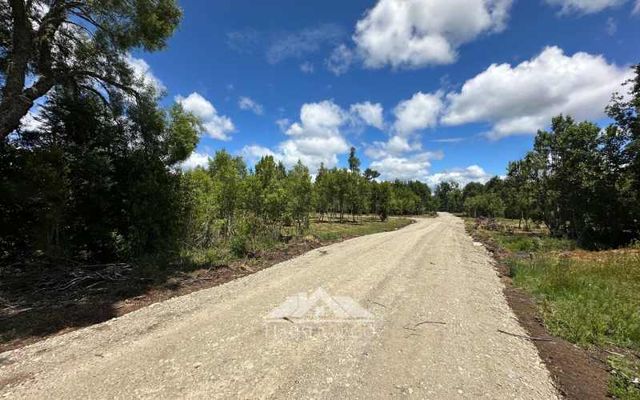 Venta sin comisión: Nuevo Proyecto Parcelas Refugio El Radal Villarrica