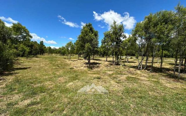 Venta sin comisión: Nuevo Proyecto Parcelas Refugio El Radal Villarrica