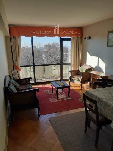 Arriendo Céntrico Departamento (137091)