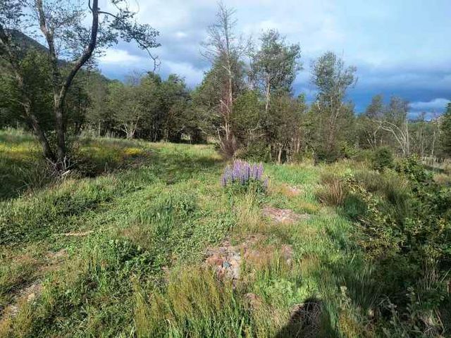 Parcela Cerro Huemules - El Claro.