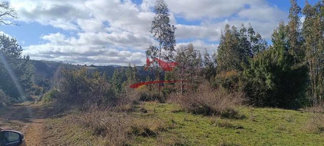Terreno con 15 hectareas, Carahue, Región de la Araucanía.