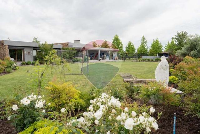 Comodidad/tranquilidad/santa cruz