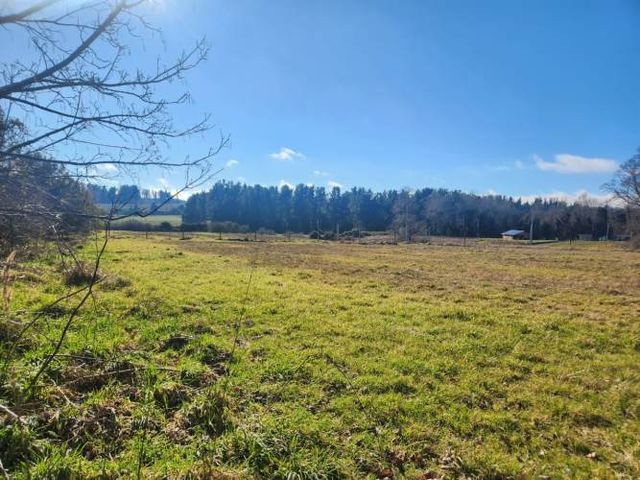 PARCELA 5000 M2 CON ROL Y LUZ EN HACIENDA NATIVA