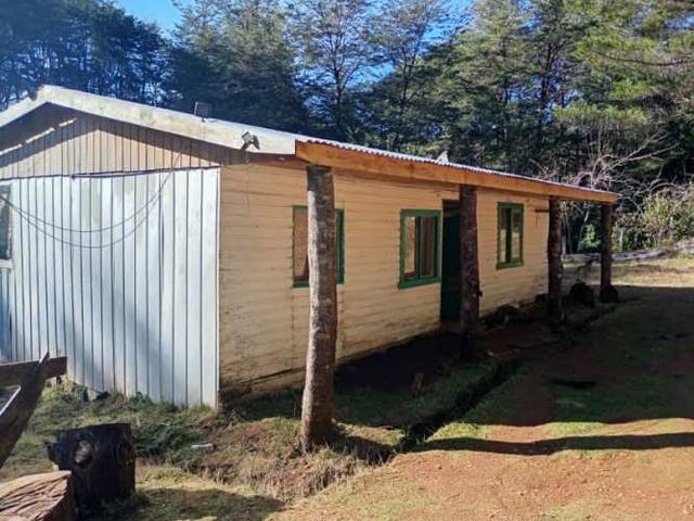 SE VENDE ESPECTACULAR PARCELA DE 32 HECTÁREAS EN TIRUA