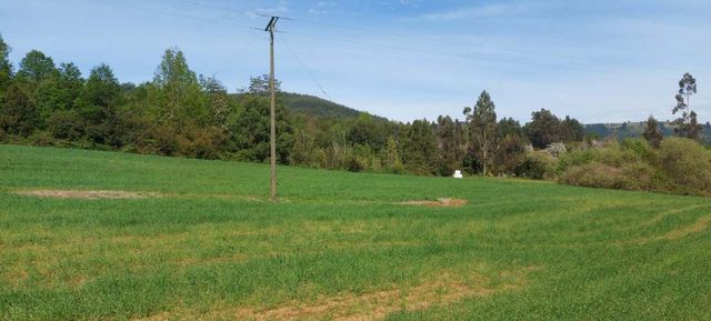 Hermosas parcelas a 5 minutos del Centro de Paillaco, facil para llegar