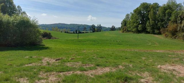 Hermosas parcelas a 5 minutos del Centro de Paillaco, facil para llegar