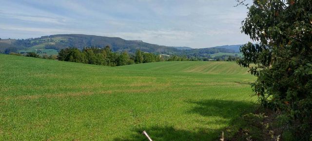 Hermosas parcelas a 5 minutos del Centro de Paillaco, facil para llegar