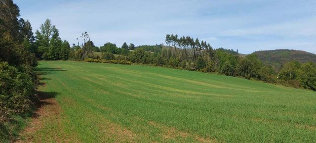 Hermosas parcelas a 5 minutos del Centro de Paillaco, facil para llegar