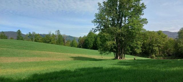 Hermosas parcelas a 5 minutos del Centro de Paillaco, facil para llegar