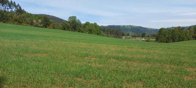 Hermosas parcelas a 5 minutos del Centro de Paillaco, facil para llegar