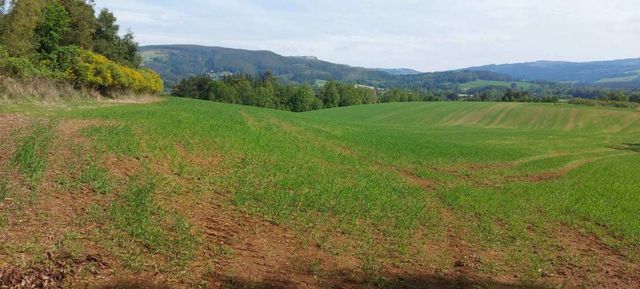 Hermosas parcelas a 5 minutos del Centro de Paillaco, facil para llegar
