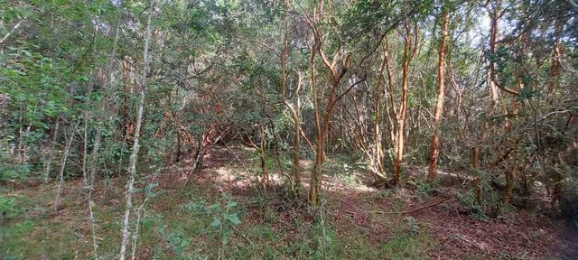 Hermosas parcelas a 5 minutos del Centro de Paillaco, facil para llegar