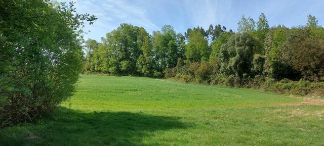 Hermosas parcelas a 5 minutos del Centro de Paillaco, facil para llegar