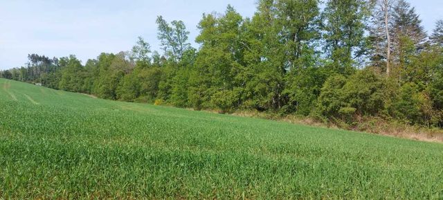 Hermosas parcelas a 5 minutos del Centro de Paillaco, facil para llegar