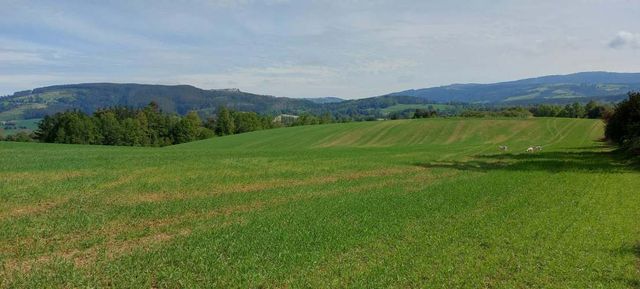 Hermosas parcelas a 5 minutos del Centro de Paillaco, facil para llegar
