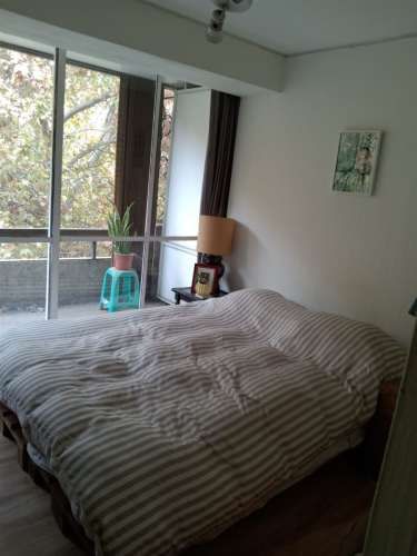 DEPARTAMENTO Lyon 660