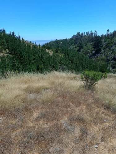 SITIO Condominio Los Arcos