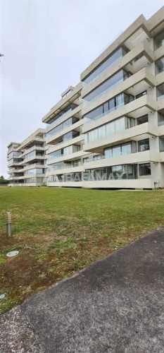 DEPARTAMENTO Lomas de San Andrés