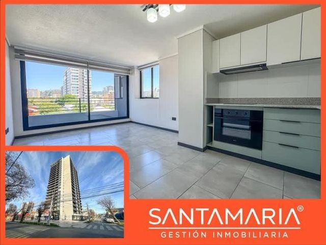 DEPARTAMENTO Lientur, Concepción