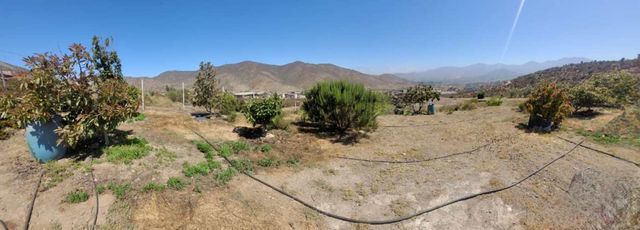 SE VENDE TERRENO C/ÁRBOLES FRUTALES, EL ROSARIO, LA SERENA