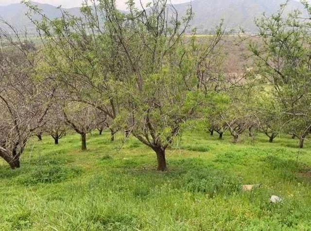 DESCANSE EL ALGO PROPIO UD Y SU FAMILIA  SE LO AGRADECERA