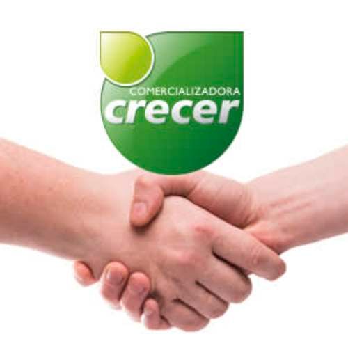 Operador de Grúa Horquilla y Apiladores Eléctricos