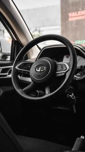 Great Wall Poer 4x2 MT 2.0