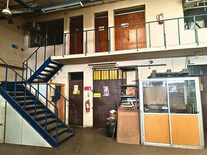 LOCAL COMERCIAL Chiloe /Victoria